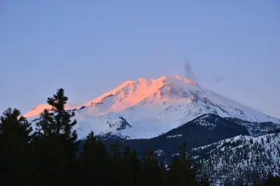 DSC_5969 (Large).JPG